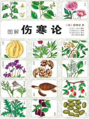 cover image of 图解伤寒论